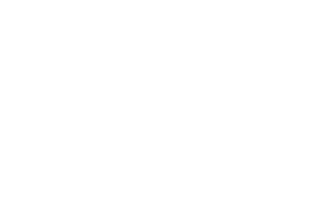 Dubai Holding logo